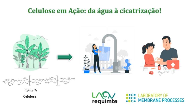 Celulose em Ação: da água à cicatrização!