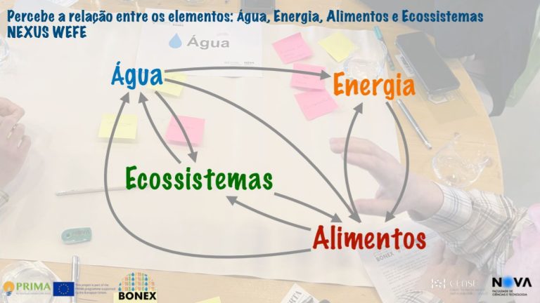 Percebe a relação entre a Água, Energia, Alimentos e Ecossistemas – NEXUS WEFE