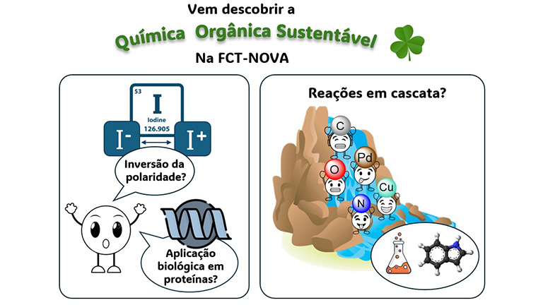 Vem descobrir a investigação em Química Orgânica Sustentável!